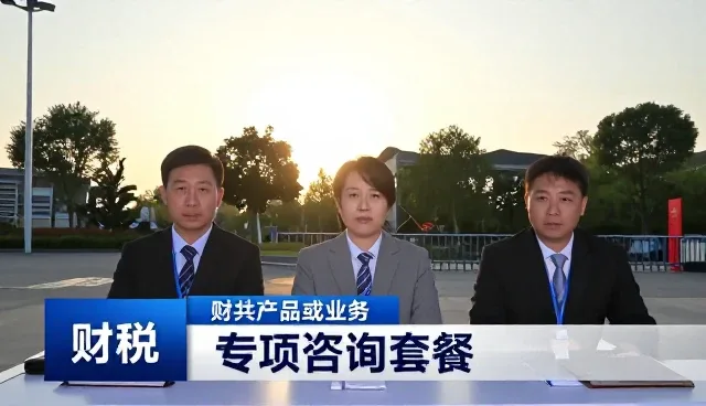 财税咨询中进度管理的实践要点与优化建议